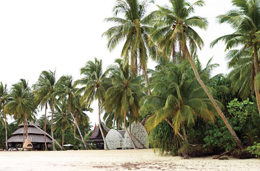trar-dedon-island-philippines-01-h.jpg