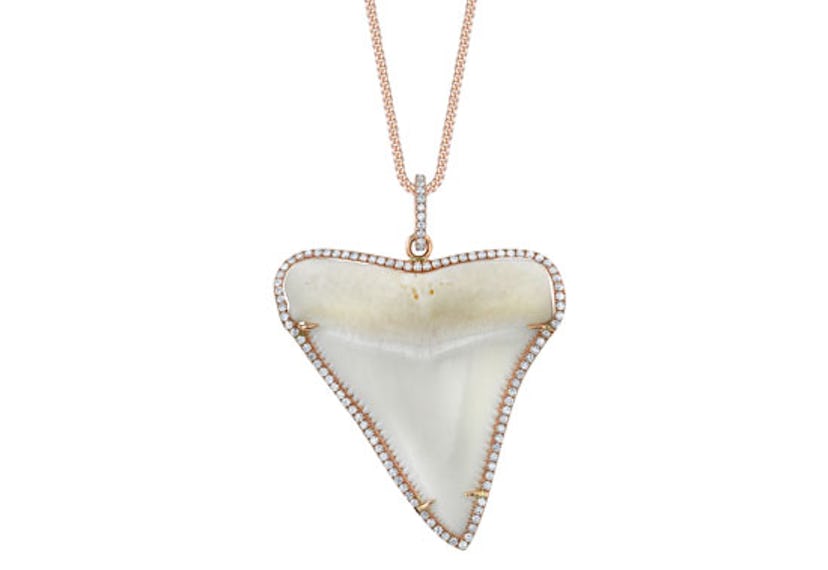 blog-shark-jewelry-01.jpg