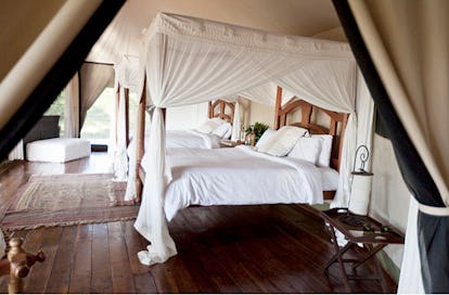 blog-alex-walker-ngare-camp-01.jpg