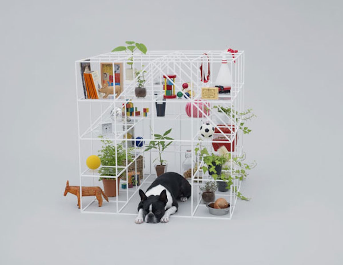 blog_dog_architecture.jpg