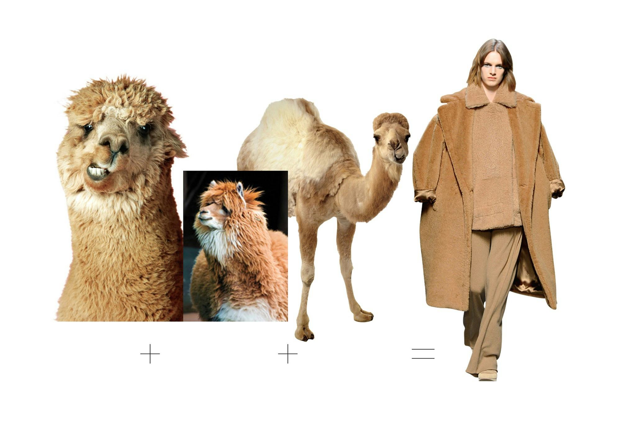 faar-august-insp.equation-04