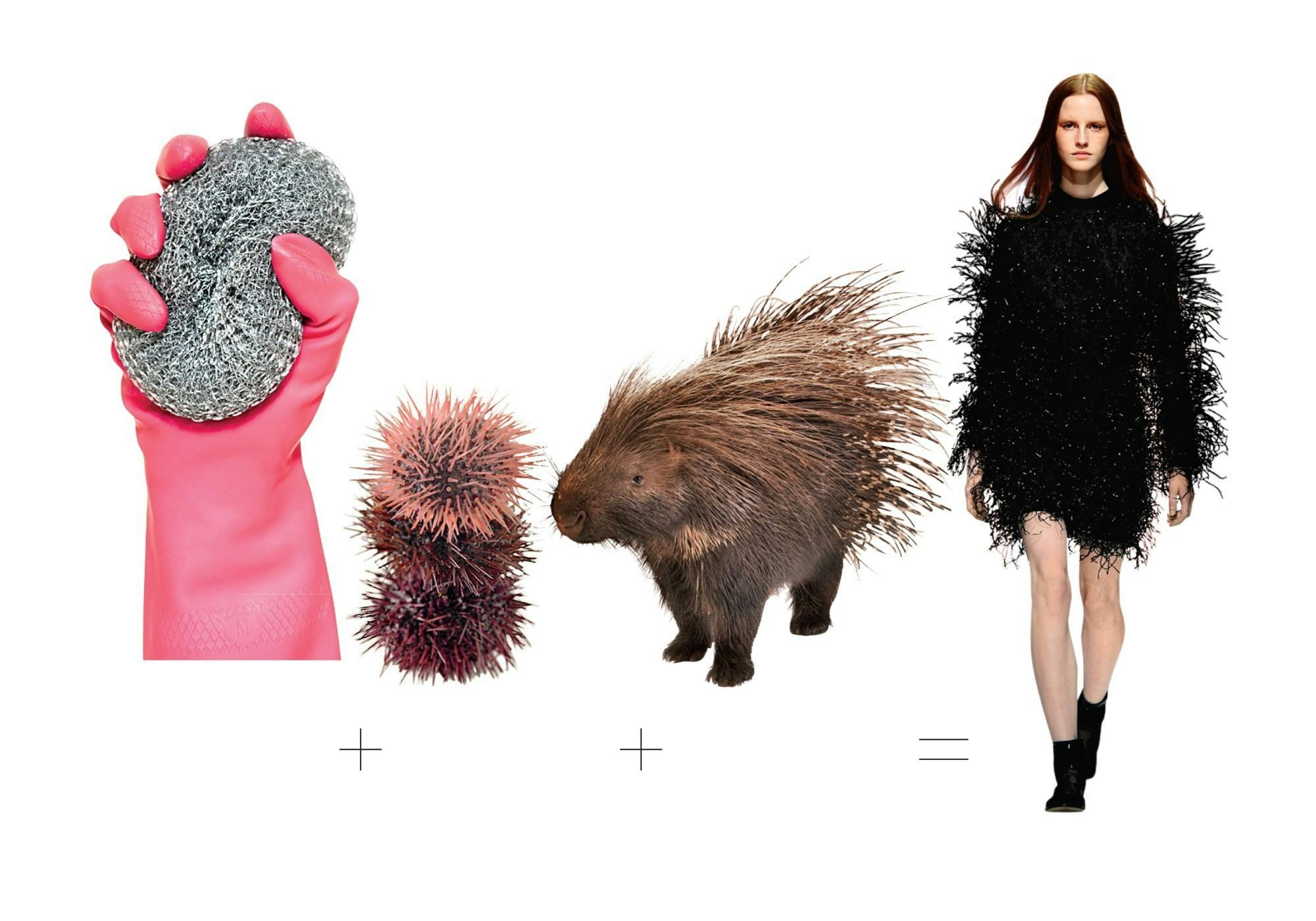 christopher-kane-fall-2013-inspiration-equation