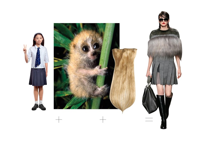 faar-marni-fall-2013-inspriation-equation