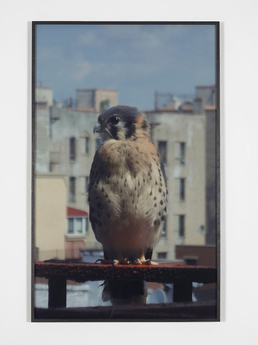 Nick-Relph-at-Chisenhale-Gallery_05