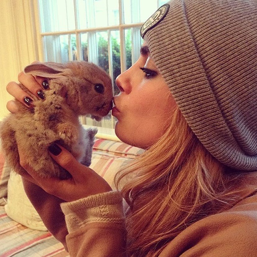 Cara Delevingne Bunny Rabbit