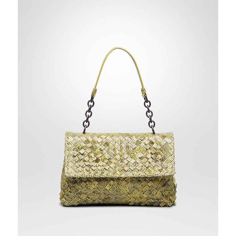 Bottega Veneta bag