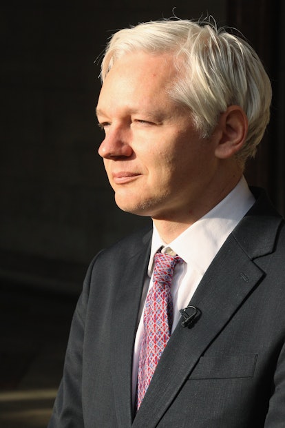 julian assange model