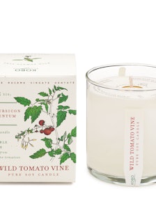 Kobo Plant the Box candle in Wild Tomato Vine