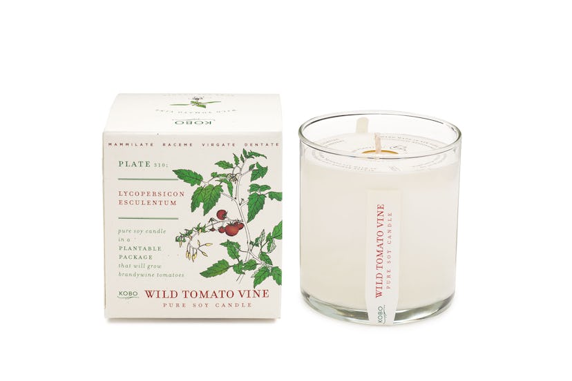Kobo Plant the Box candle in Wild Tomato Vine
