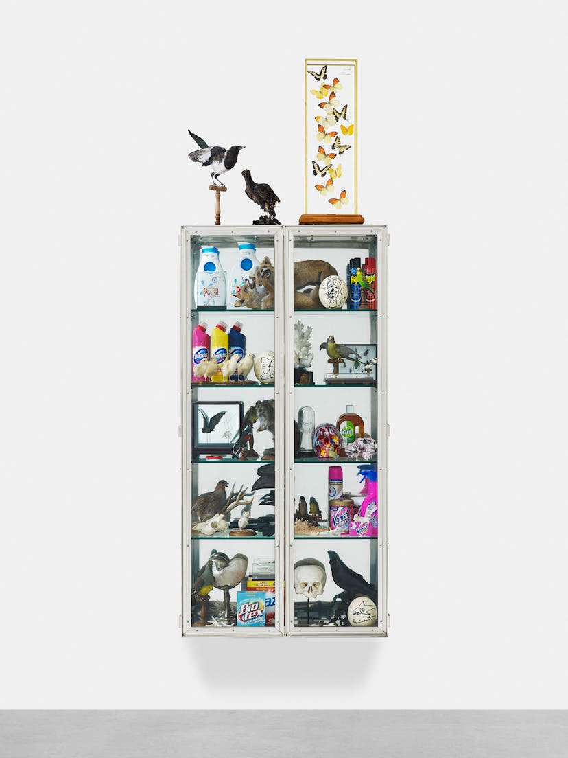 Damien Hirst x Deyrolle
