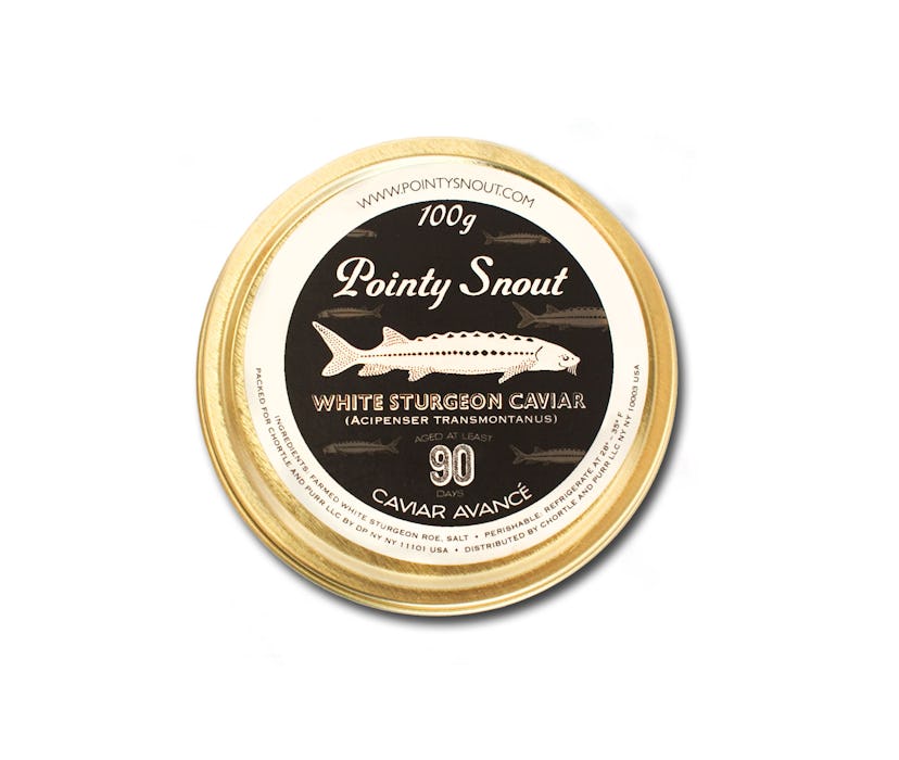 Pointy Snout Caviar Avancé 100g