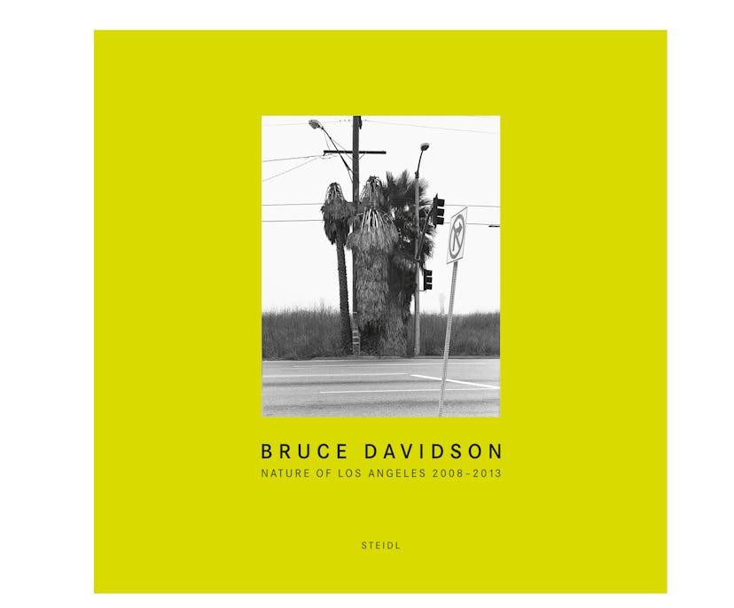 Bruce Davidson: Nature of Los Angeles 2008–2013