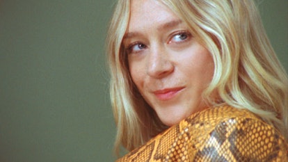 Chloe Sevigny Sex Tape - ChloÃ« Sevigny is at Peace With That Brown Bunny Controversy