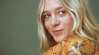 Chloe Sevigny