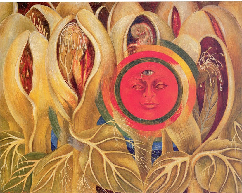 Frida Kahlo's Sun and Life