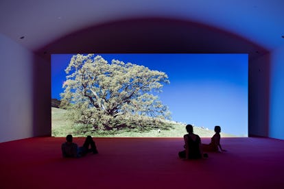 Philippe Parreno