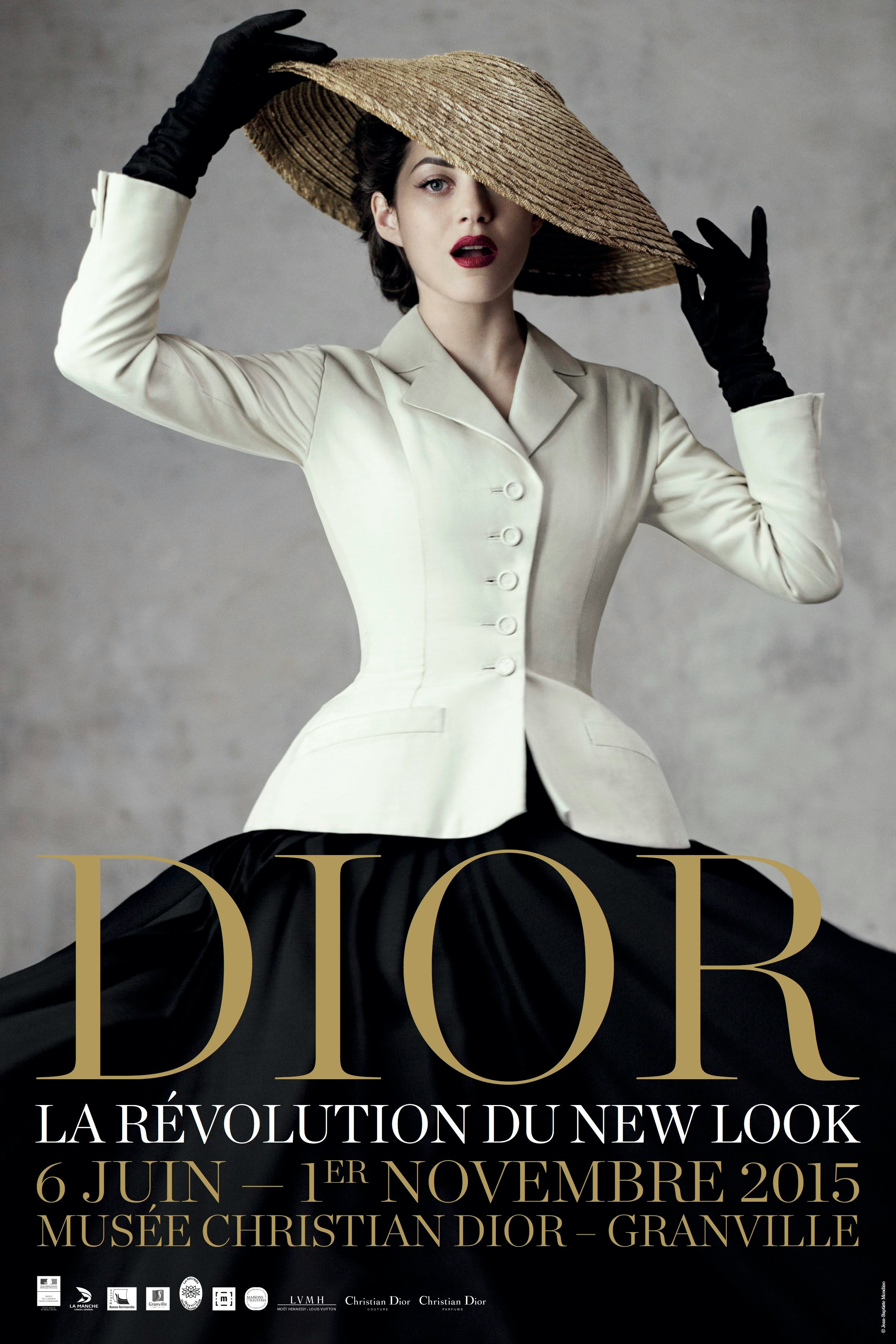 dior the new look revolution book