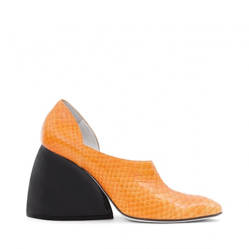 Loewe pumps