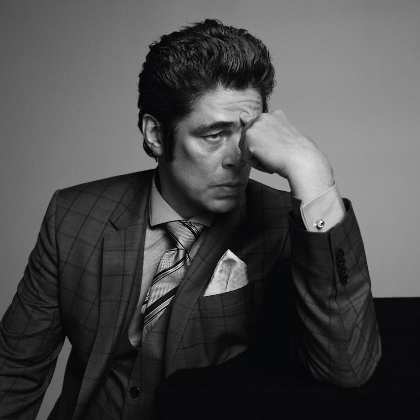 Benicio Del Toro, New Royals