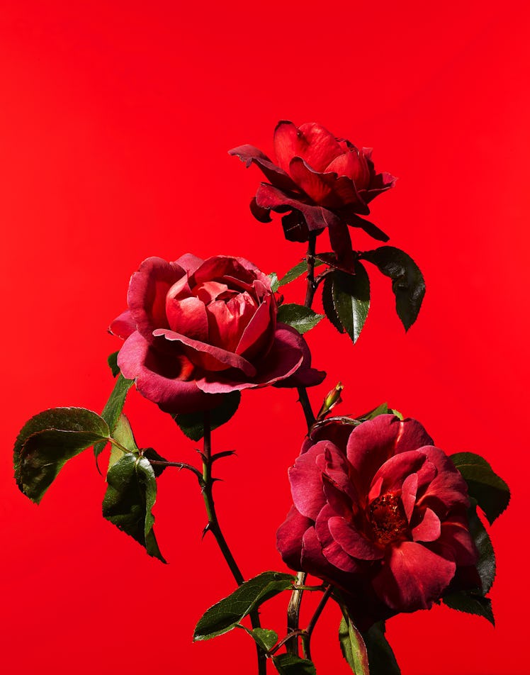 Three red roses with a red background by Gregory Reid