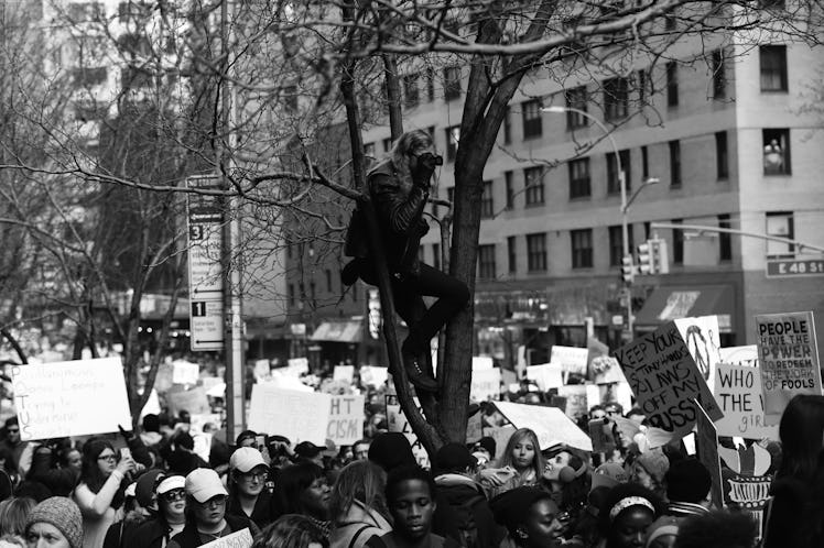 A large crowd gathered and a man climbing onto a tree at the New York City Women's March