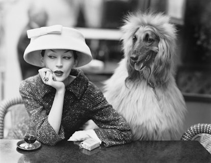 Dovima_with_Sacha_cloche_and_suit_by_Balenciaga_Cafe_des_Deux_Magots_Paris_1955._Photograph_by_Richa...