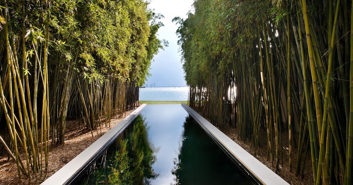 Douglas calvin klein Clearance