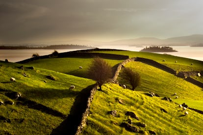 Stone walls on grassy rural hillside