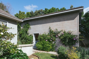 The outside of the Rosson Grow studio with trees and bushes