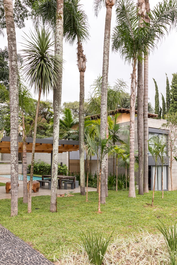  Fernanda Feitosa's house only slightly visible behind tall palm trees 