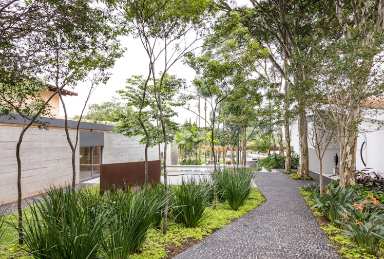 The pathway to Fernanda Feitosa's São Paulo house, surrounded by large trees, dark green bushes and ...