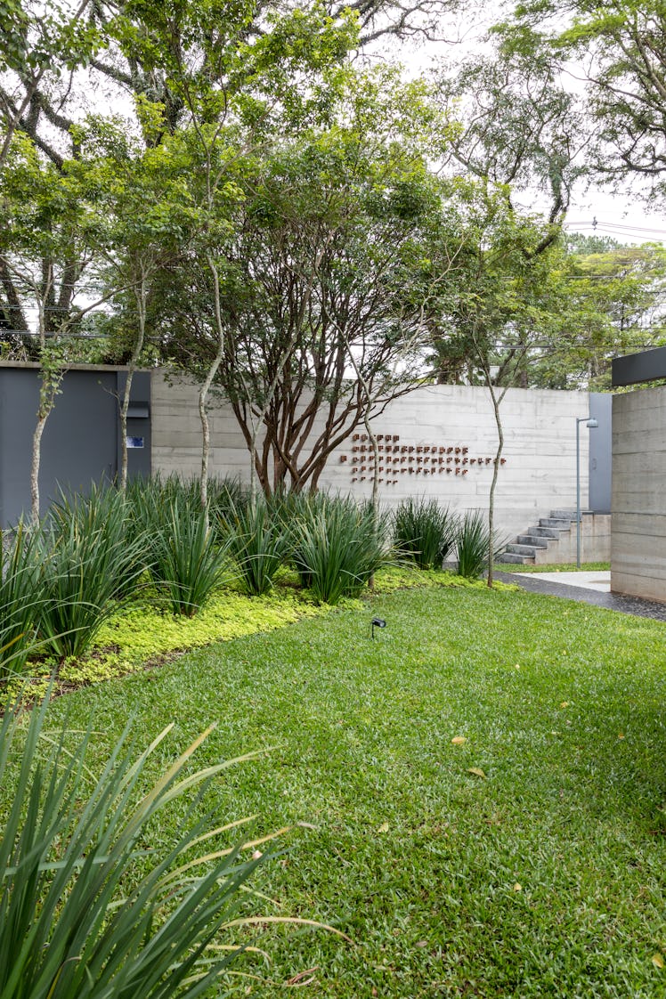 The backyard o the house with large trees,  dark green bushes and grass 