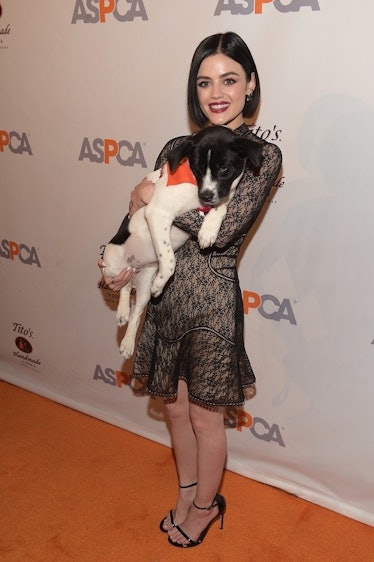 ASPCA After Dark Cocktail Party Hosted By Lucy Hale