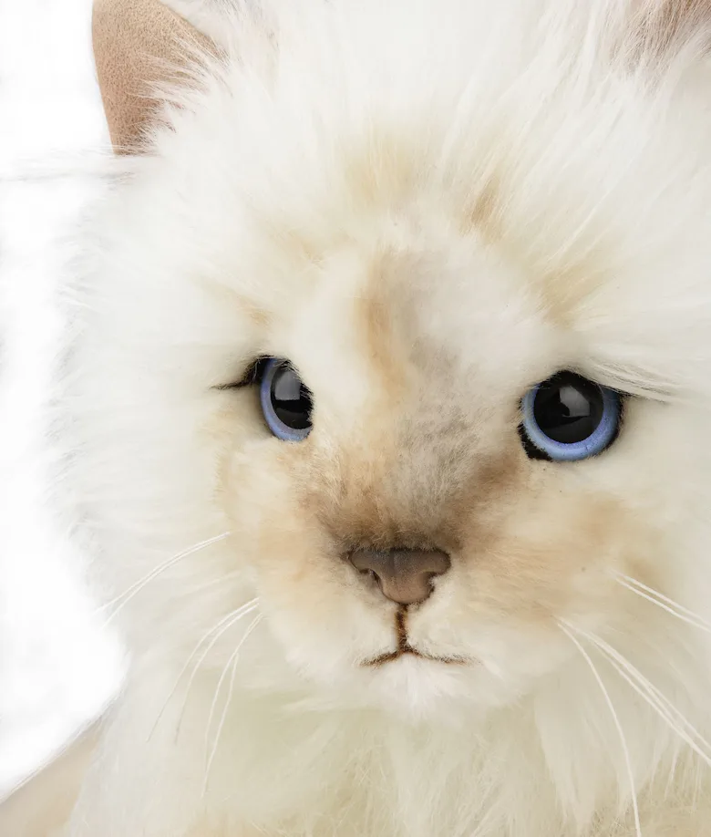 Karl Lagerfeld's Cat Choupette Stars in Net-a-Porter Fashion Promo Karl Lagerfeld's Cat Choupette Stars in Net-a-Porter Fashion Promo