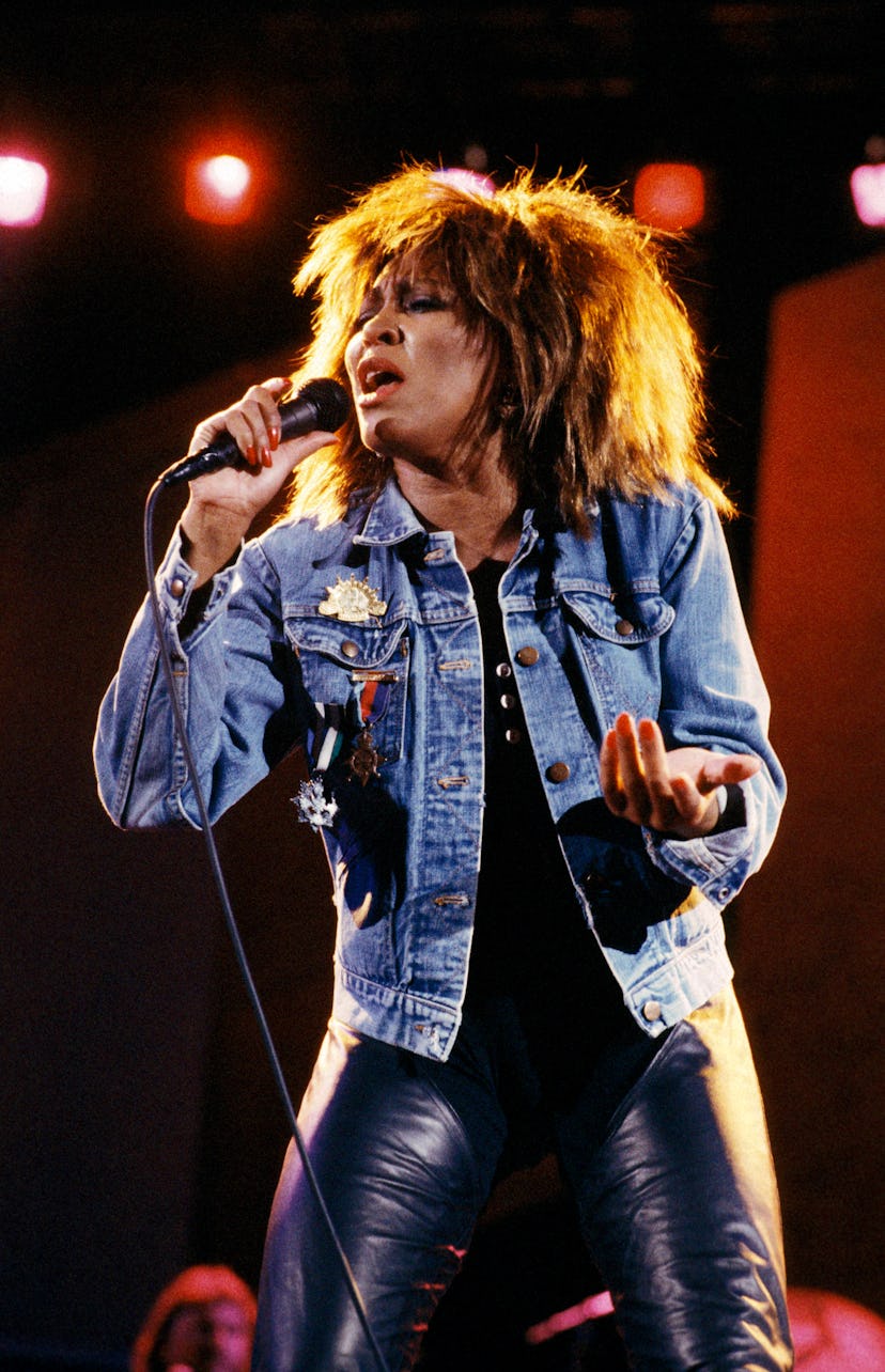 Photo of Tina TURNER