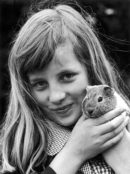 Diana Spencer with pet guinea pig