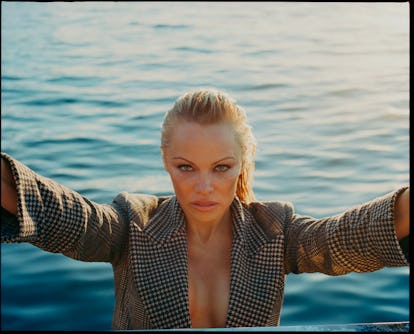 Pamela anderson unsensored