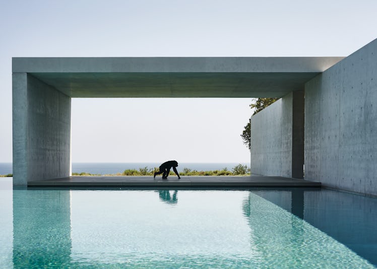 Chimpanzee Eli moving next to a swimming pool by Alex Israel