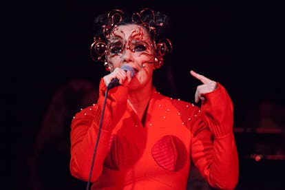 Bjork Performs in Concert At Iceland Airwaves