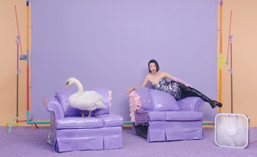 st-vincent-new-york-swan.png