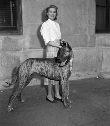 Grace Kelly On Stroll With Great Dane