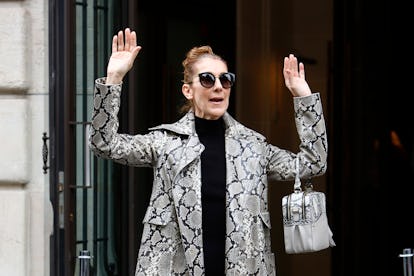 Celine Dion leaves her hotel in Paris