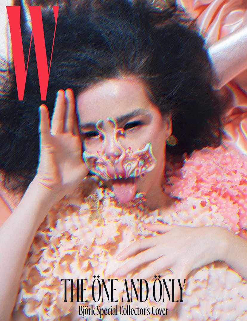 bjork-cover-tw.jpg