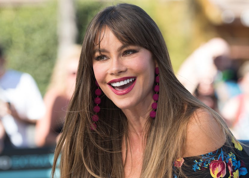 Sofia Vergara's Headshot from Her Modeling Days Is Proof She's Ageless