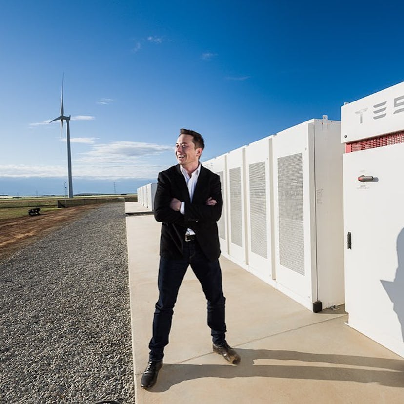 elon.jpg