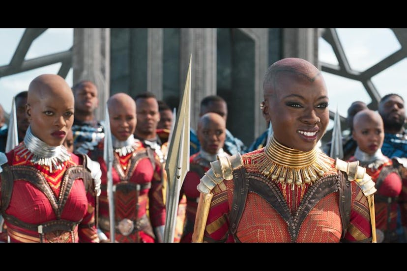 BlackPanther5a84c42941310.jpg