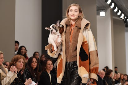 tod-milan-fashion-week-fw-2018-puppies-lead.jpg