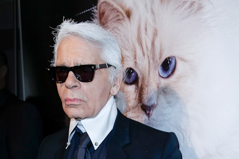 what-karl-lagerfeld-calls-his-models.jpg