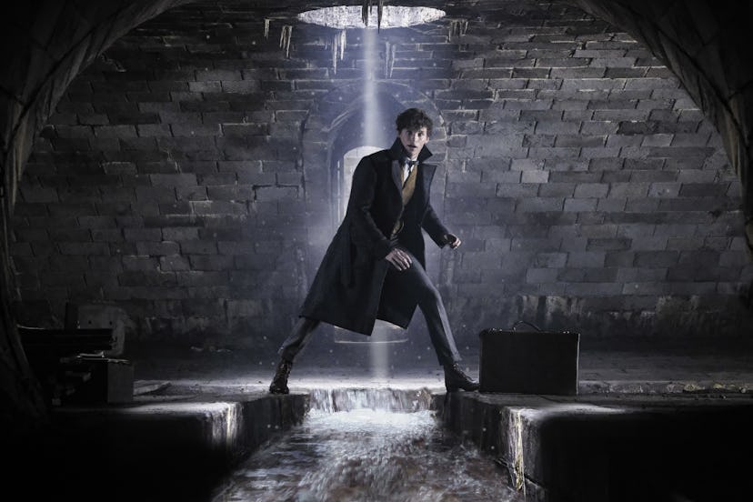 fantastic beasts