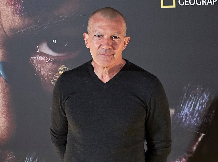 antonio-banderas.jpg